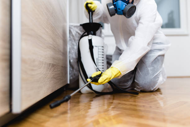 Best Emergency Pest Control  in Clisle, AR