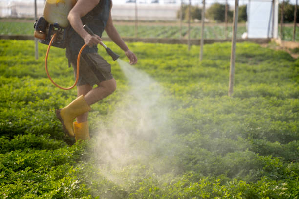 Best Affordable Pest Control Services  in Clisle, AR