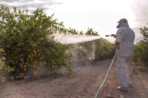 Best Best Pest Control Companies  in Clisle, AR