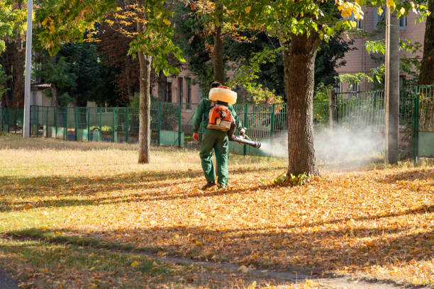 Best Local Pest Control Services  in Clisle, AR